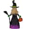 39" LED Lighted Witch with Broom Outdoor Halloween Decoration, Clear LED Lights